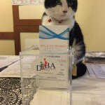 evento di prova 2