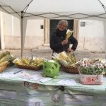 Una Mimosa per la Vita
